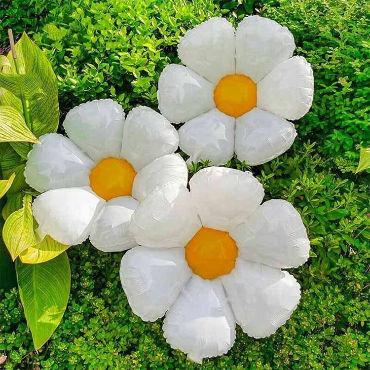 Seks kronblad daisy folie balloner